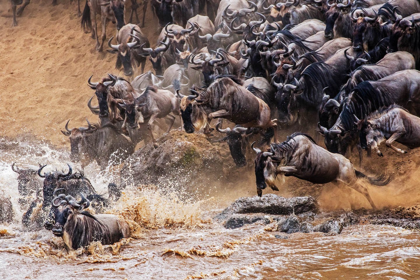 Great Wildebeest Migration in the Serengeti