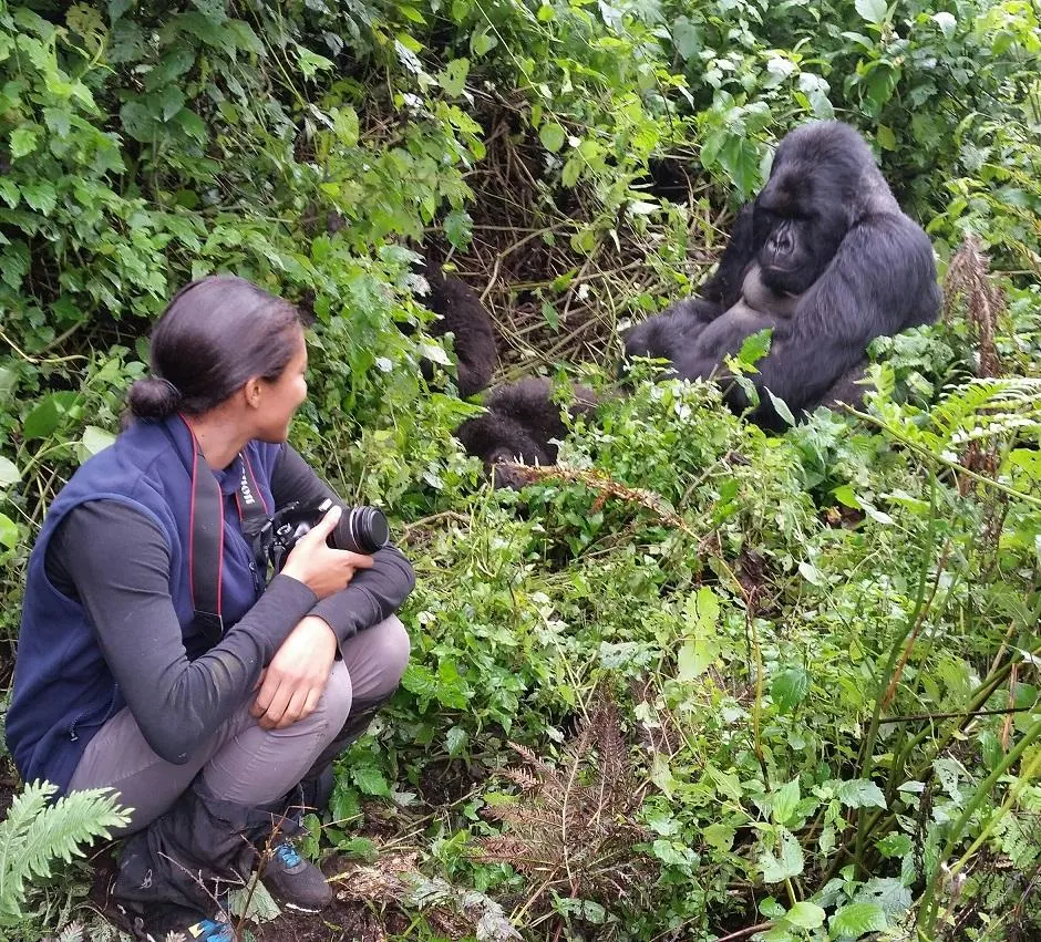 1-Day Uganda Gorilla tracking